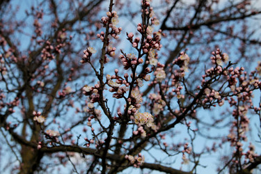 Similar image 21744185