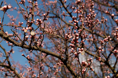 Similar image 21744186