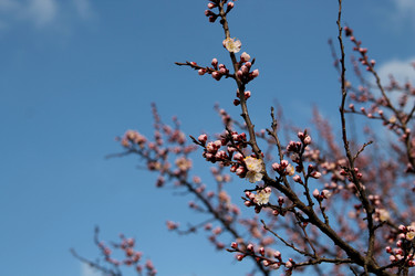 Similar image 21744187