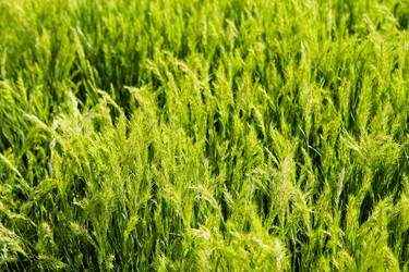 Similar image 21744190