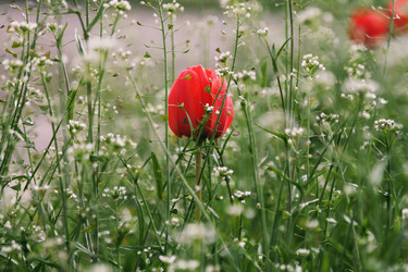 Similar image 21744192