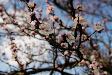 Similar image 21744194