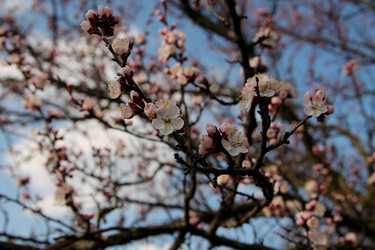 Similar image 21744195