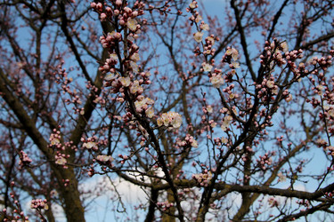 Similar image 21744196