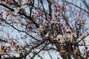 Similar image 21744197