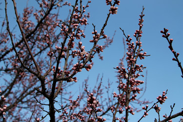 Similar image 21744198