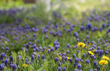 Similar image 21744199