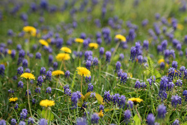 Similar image 21744201