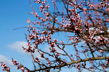 Similar image 21744220