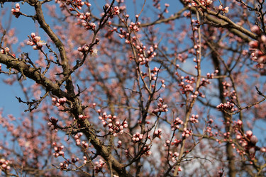 Similar image 21744221