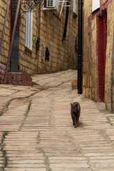 Similar image 21749588