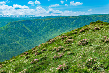 Similar image 21750326