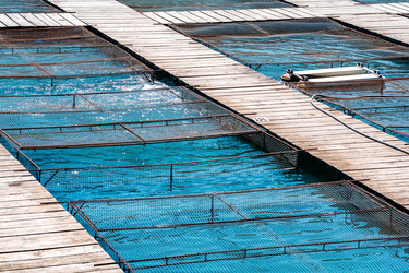 Similar image 21748430