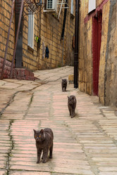 Similar image 21748433