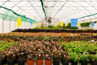 Similar image 21748448