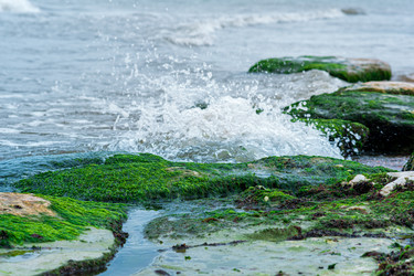 Similar image 21748455