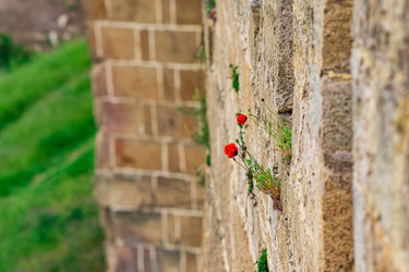 Similar image 21748461