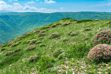 Similar image 21748467