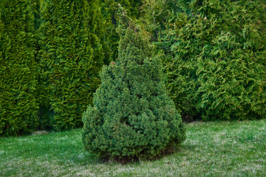 Similar image 21748848