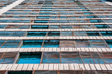 Similar image 21748850