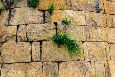 Similar image 21746627