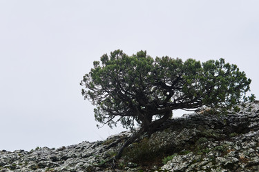 Similar image 21746849