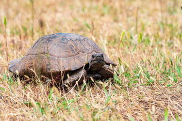 Similar image 21746850