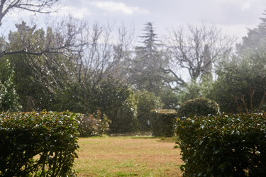 Similar image 21746854