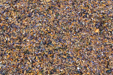 Similar image 21746855