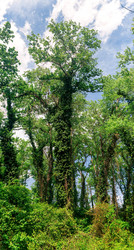 Similar image 21746856