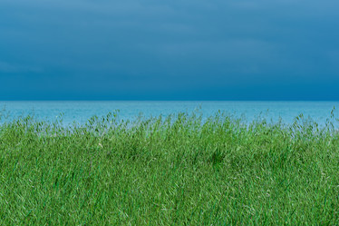 Similar image 21749602