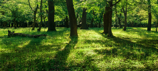 Similar image 21750100