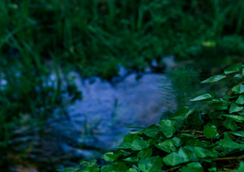 Similar image 21750102