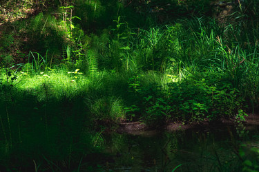 Similar image 21750337