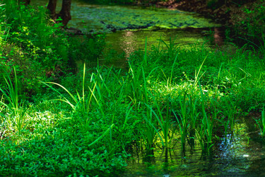 Similar image 21750339