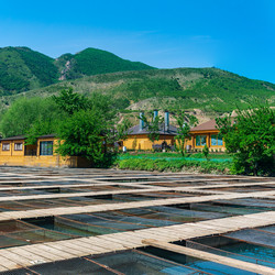 Similar image 21750340