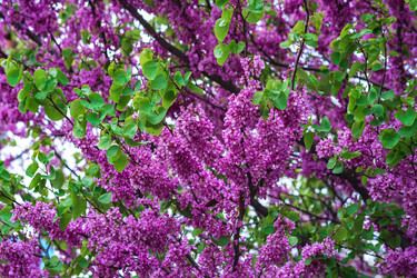 Similar image 21750341