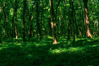 Similar image 21746344