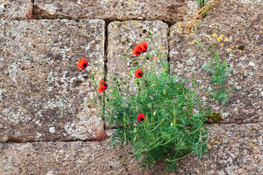 Similar image 21746345