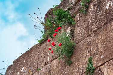 Similar image 21746421