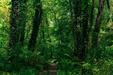 Similar image 21746429