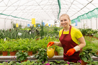 Similar image 21753621