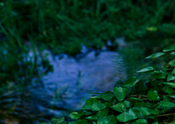 Similar image 21746434