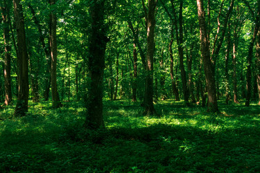 Similar image 21746436