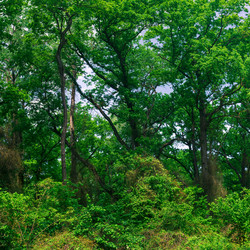 Similar image 21746438