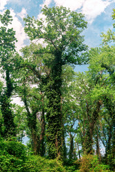 Similar image 21746443