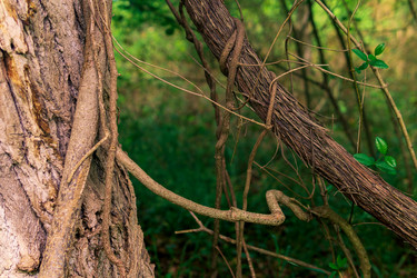 Similar image 21746445