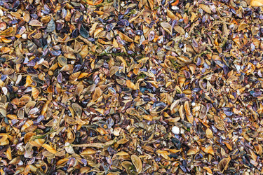 Similar image 21746454