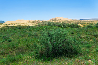 Similar image 21746455