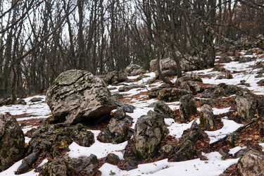 Similar image 21748869